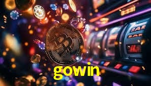 Interface Premium gowin